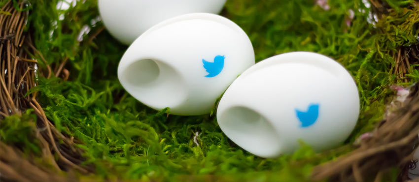 Steps to Use Twitter for the Advantage of Your Business