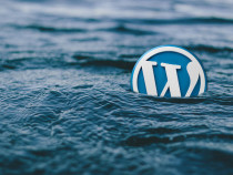 Avoid These Common WordPress Mistakes