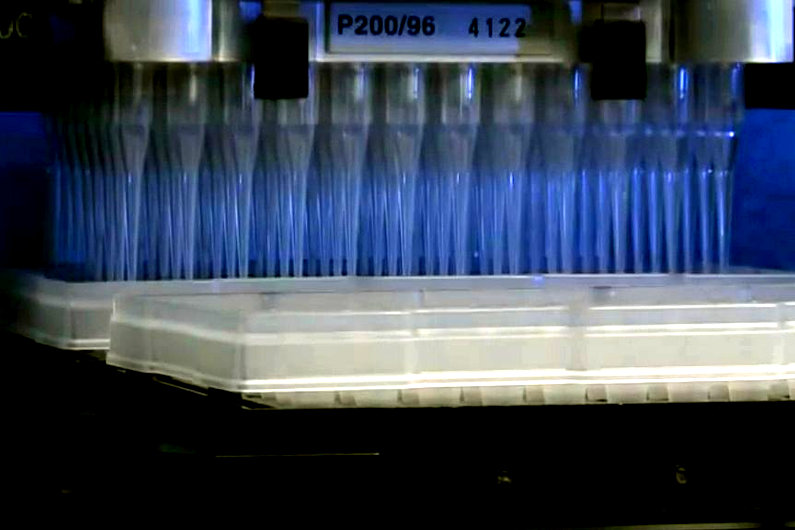 Pipetting heads of a liquid handling robot