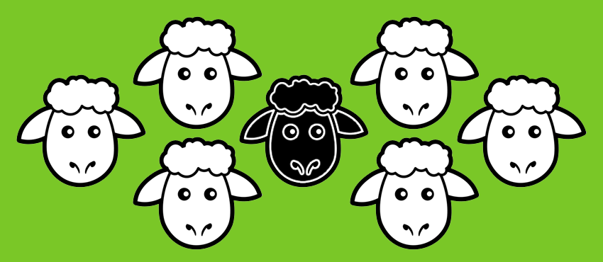 Black Sheep Branding: How to stand out from the flock
