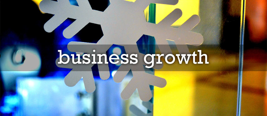 What Obstacles Hold Back Businesses from Growing as Fast as They Want?